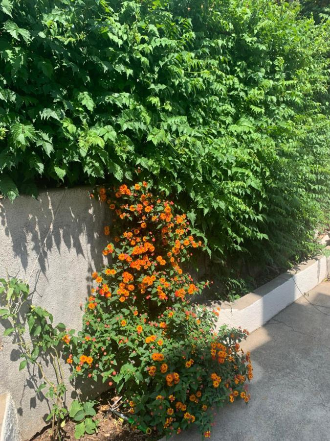 Aida Apartments And Rooms For Couples And Families Free Parking Дубровник Экстерьер фото