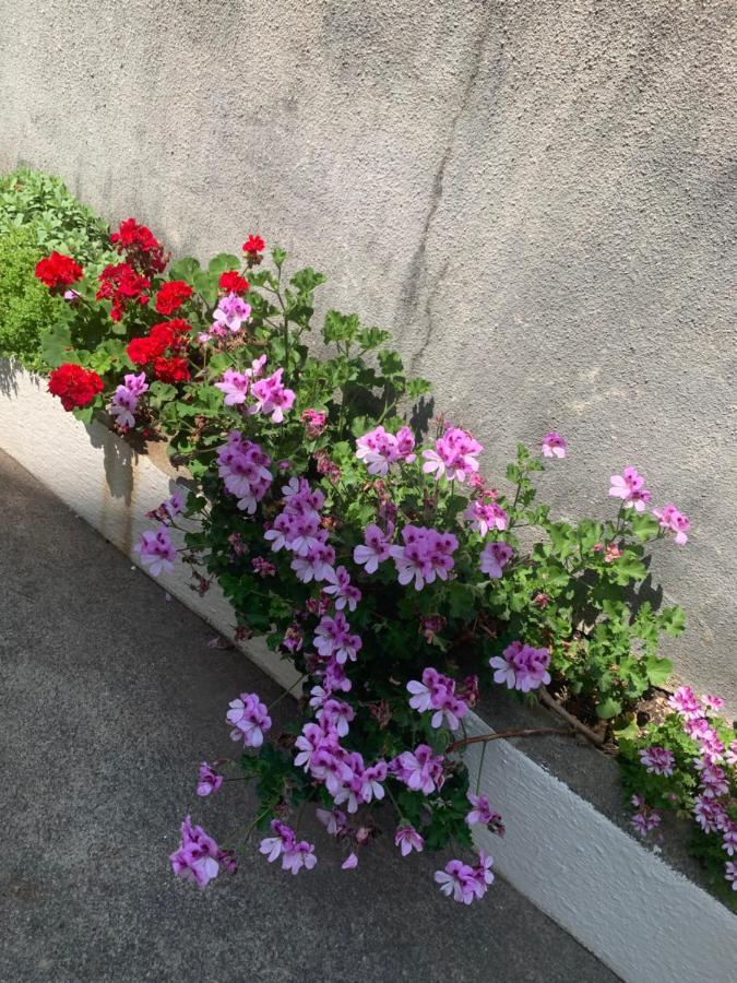 Aida Apartments And Rooms For Couples And Families Free Parking Дубровник Экстерьер фото