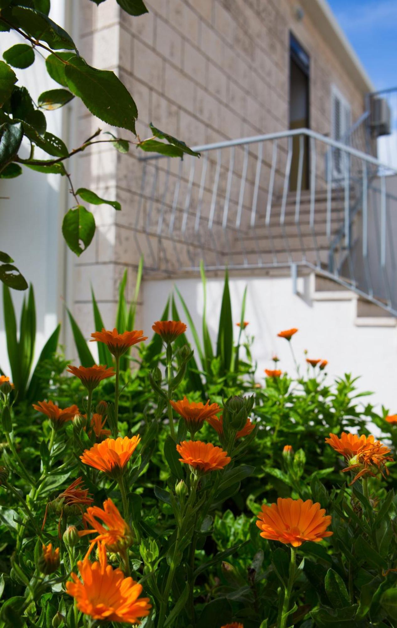 Aida Apartments And Rooms For Couples And Families Free Parking Дубровник Экстерьер фото